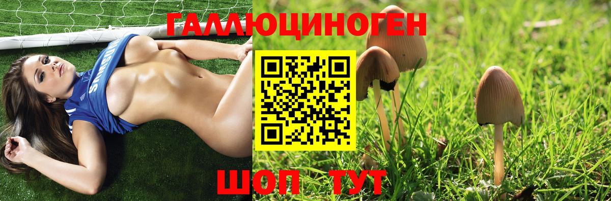 купить наркотик  Псилоцибиновые грибы Magic Shrooms  Псилоцибиновые грибы Psilocybine cubensis  Вход с VPN  Красноуфимск 