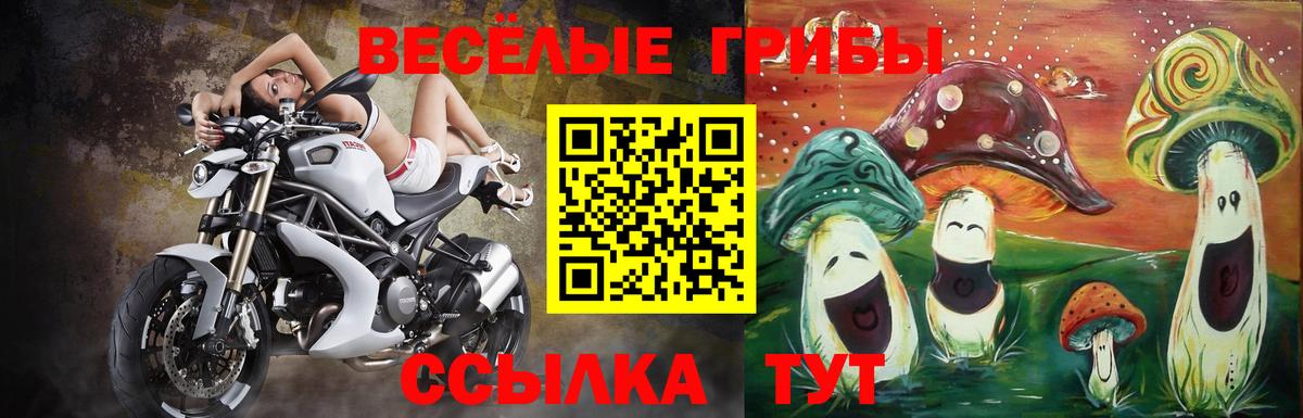 Галлюциногенные грибы прущие грибы Красноуфимск